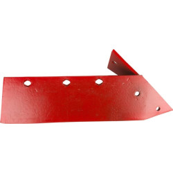 Dešinysis pakaitinis noragėlis 031189D