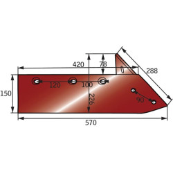 Dešinysis pakaitinis noragėlis 031189D