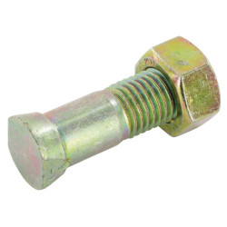 Plūgo varžtas + veržlė, C2F M16x55 10.9 1655C2F