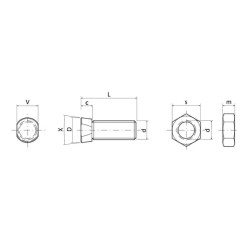 Plūgo varžtai su kūgine galvute ir veržlėmis 1245C2FP025