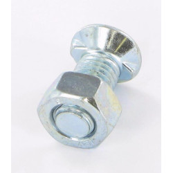 Naud 2N ovalus varžtas M12x30 051814