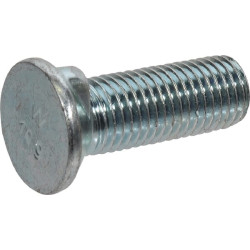 Plūgo varžtas ovalus 41650360257