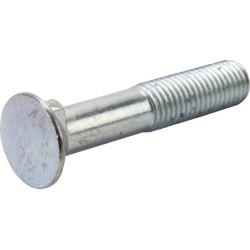 Varžtas SK 1S M11x55 VI1704