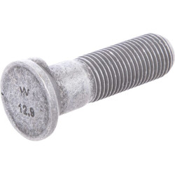 Varžtas 41650361224