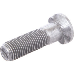 Varžtas 41650361224