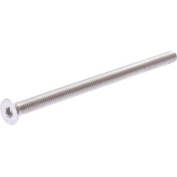 Įleidžiamas varžtas M6x100-A4 30110218