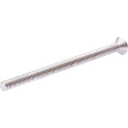 Įleidžiamas varžtas M6x100-A4 30110218