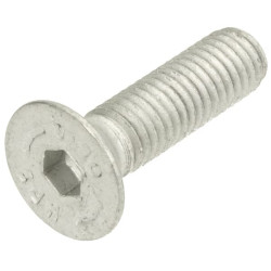 Įleidžiamas varžtas M8x30-8.8 Zn 3016104