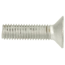 Įleidžiamas varžtas M8x30-8.8 Zn 3016104