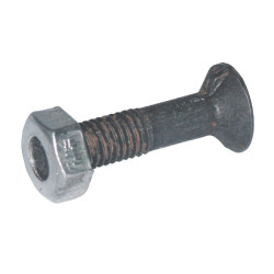 Plūgo varžtas ir veržlė M16x50, 1 antgalis DIN604 10.9 klasė 16501N