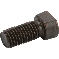 Specialus plūgo varžtas M12x37 10.9 Niemeyer 502500