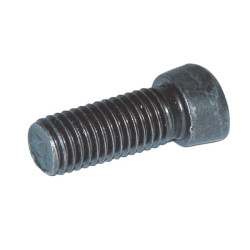 Plūgo varžtas M12x30 12,9 Rabe 27004112