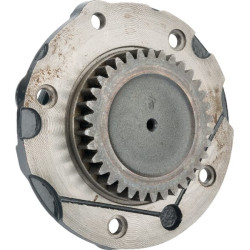 Pavaros stebulė VN79300654