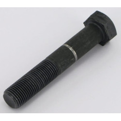 Varžtas su įduba M16x1,5x90 10. 70100201