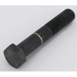 Varžtas su įduba M16x1,5x90 10. 70100201