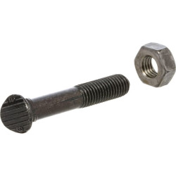 Balnelio varžtas ir veržlė 10x60 CP804P025