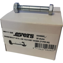 Nukerpamas varžtas su veržle (25 vnt.) M10x63 10.9 TIPAS 30 990111Q25