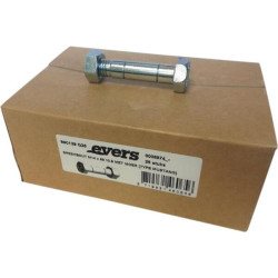 Nukerpamas varžtas su veržle (25 vnt.) M14x66 10.9 TIPAS MUSTANG 990129Q25