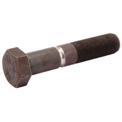 Varžtas su įduba M20x1,5x100 8. 70021701