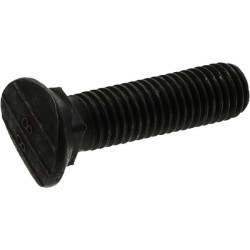 Varžtas be veržlės M12X48mm 100323127