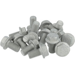 Plūgo varžtas 12x20mm 10.9 00360414N