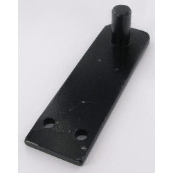 Plokštė 25,70x10 CP486308