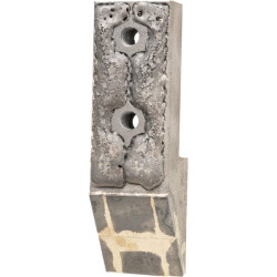 Atsilaisvinęs antgalis WM1CN