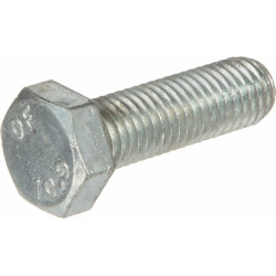 Varžtas M12X1,75X40 10.9 F01020528R