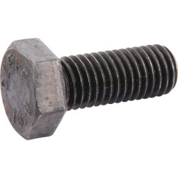 Varžtas 4017 12 x 30 10,9 DC158