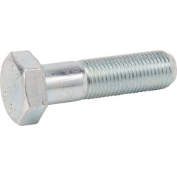 Varžtas M12x1,25x45 F01010053R