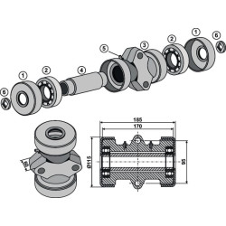 Guolio taurelė 1710OJM02