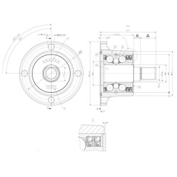 Akėčių disko stebulės guolio mazgas F67327004TILL