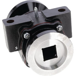 Guoliai, skirti GB, Bugnot, Kuhn Ad, 40x40 17100097