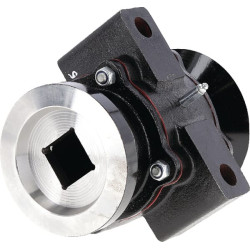 Guoliai, skirti GB, Bugnot, Kuhn Ad, 40x40 17100097