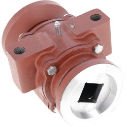 Guolis Dalbo, 40x40 17100037