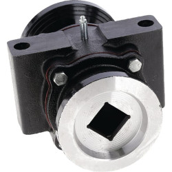 Guolis, skirtas „Souchu-Pinet“, 40x40 17100402