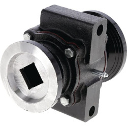 Guolis, skirtas „Souchu-Pinet“, 40x40 17100402