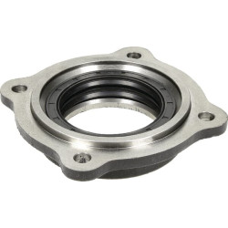 Korpuso dangtis su veleno sandarikliu 17100037L