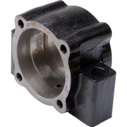 Guolio korpusas 17100037D