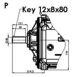 Vakuuminio siurblio skriemulys 15270 l/min su automatiniu tepimu ir balastu B.P. KPSB550PRA100