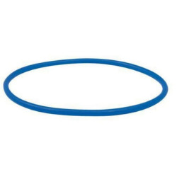 O formos žiedas 8 colių flanšui RIV9859200