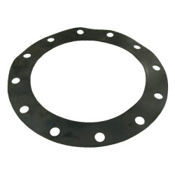 12 colių norminio flanšo tarpinė 1233980Z