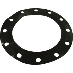 10 colių norminio flanšo tarpinė 1033980Z