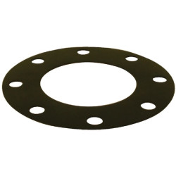 6 colių flanšo tarpinė 6339800Z