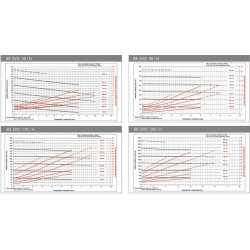 BR-EVO siurblys 166m³/h hidraulinė pavara B.P. BREVO170H