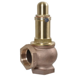 Slėgio mažinimo vožtuvas 4 bar 2 1/2 B.P. 5100200034