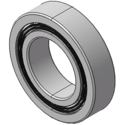 Rutulinis guolis 13600900