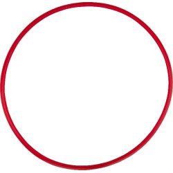 Priekinis sandarinimo žiedas 5030210080