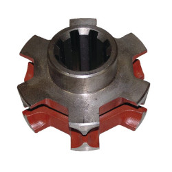 Žvaigždutė viduje T088 NW1131692