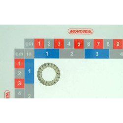 Dantyta fiksavimo poveržlė 14 mm, cinkuota plieninė 10629014